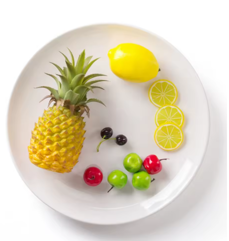 Classic White Melamine Dinner Plate